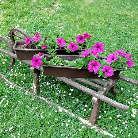 Szálloda Gaudeamus Milovy