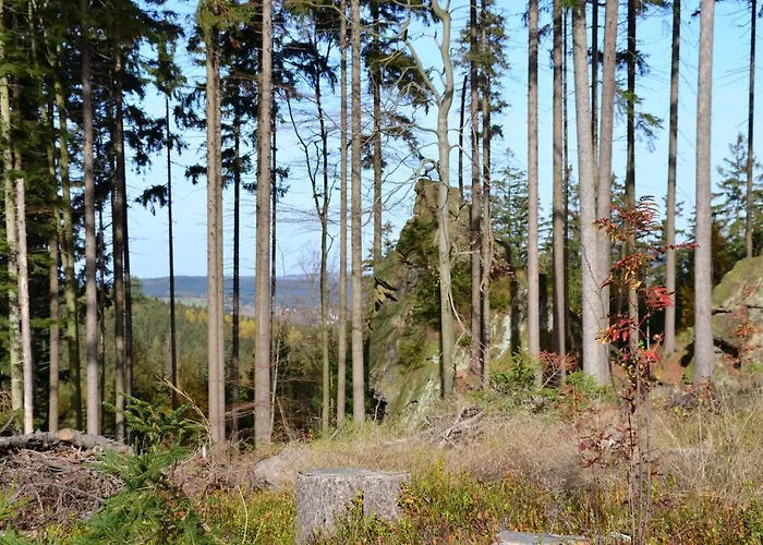 Gaudeamus Milovy